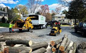 Best Firewood Processing and Delivery  in Richmond, VA